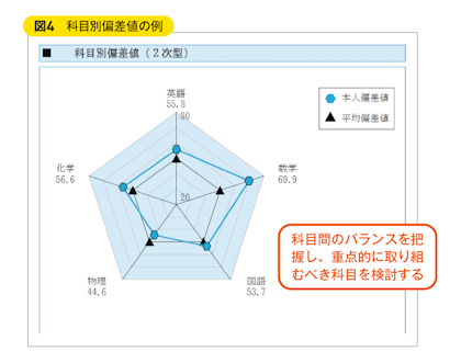 図4　科目別偏差値の例