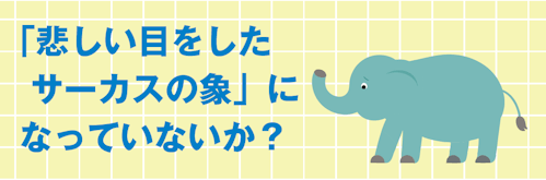 「悲しい目をしたサーカスの象」になっていないか？