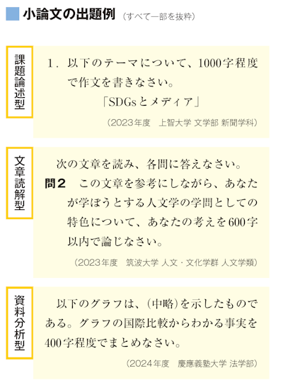 小論文の出題例（すべて一部を抜粋）