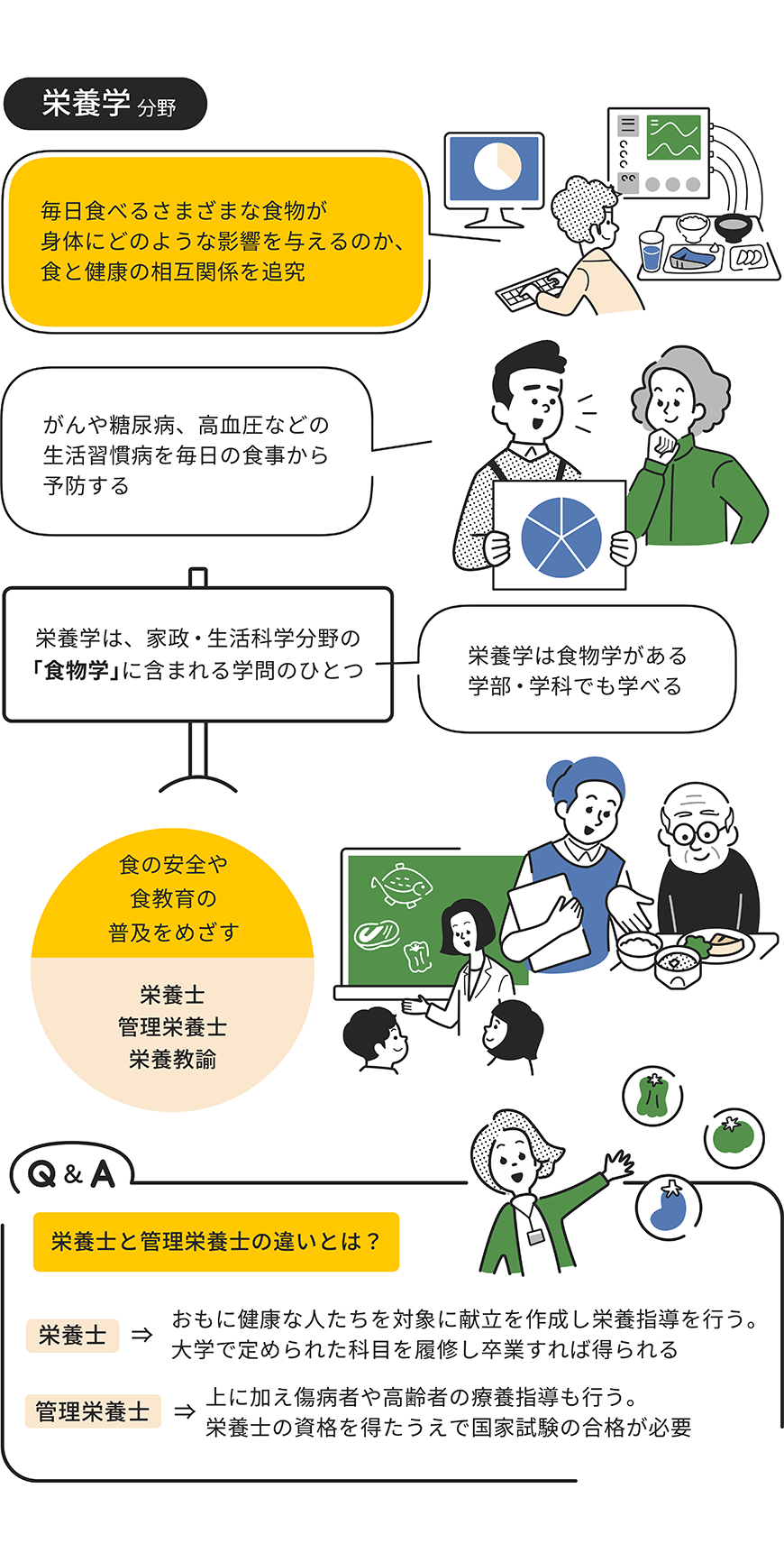 栄養学分野をイラストで解説した画像