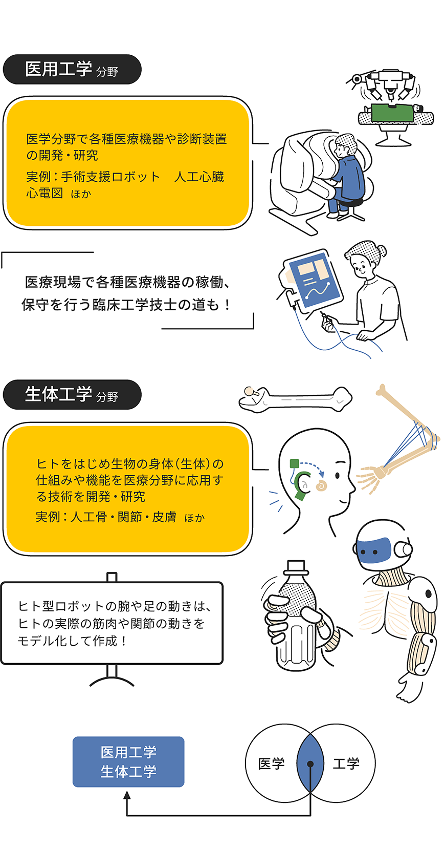 医用・生体工学分野をイラストで解説した画像