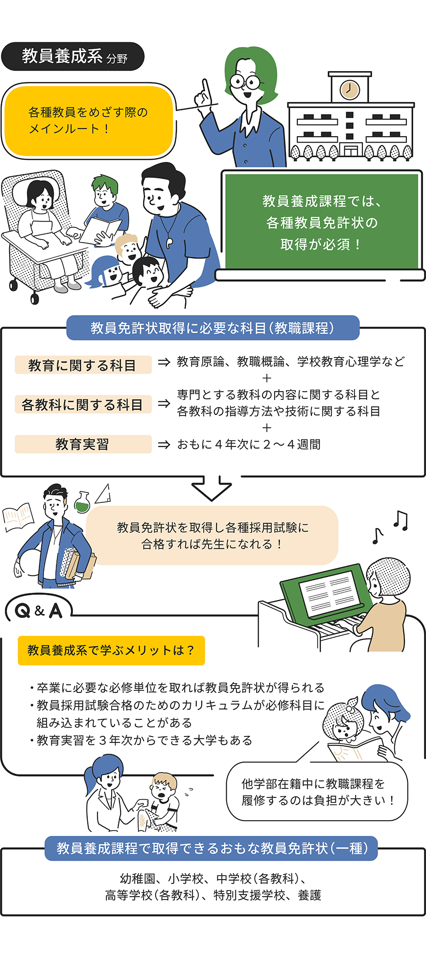 教員養成系課程をイラストで解説した画像