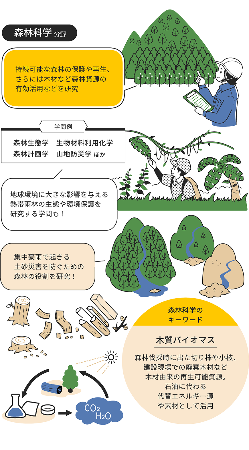 森林科学分野をイラストで解説した画像