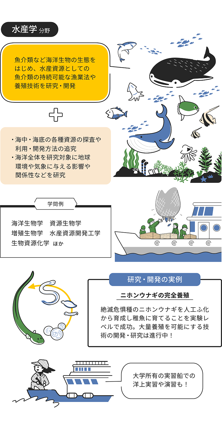 水産学分野をイラストで解説した画像