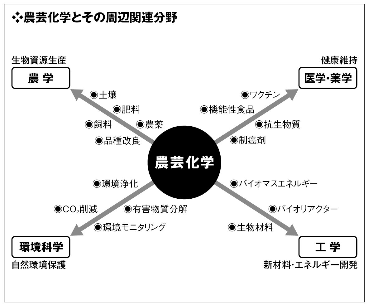 major-additional_image