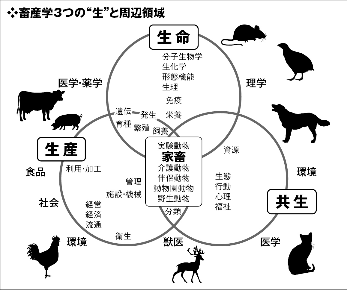 major-additional_image