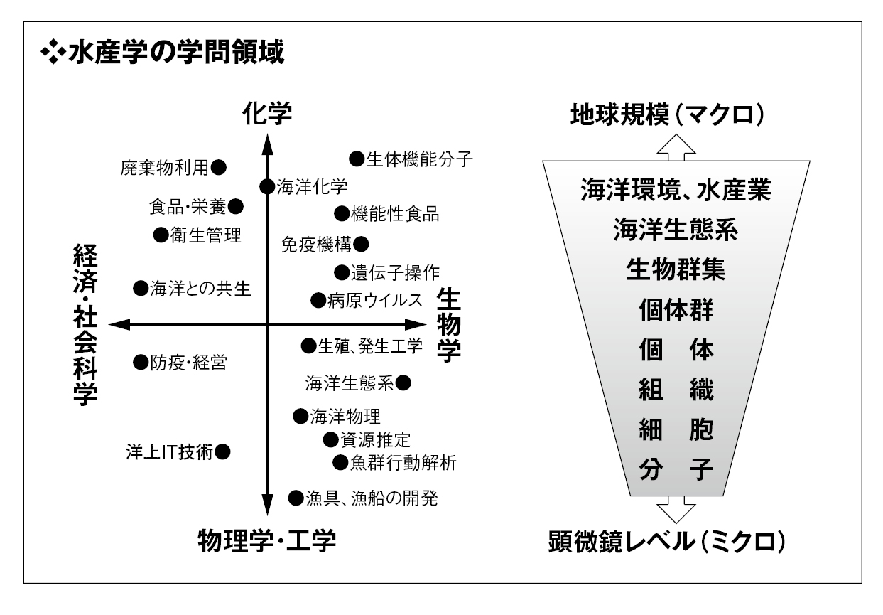major-additional_image