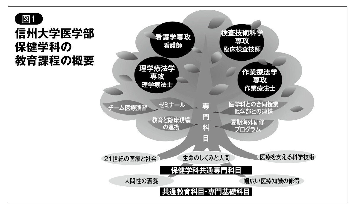 major-additional_image