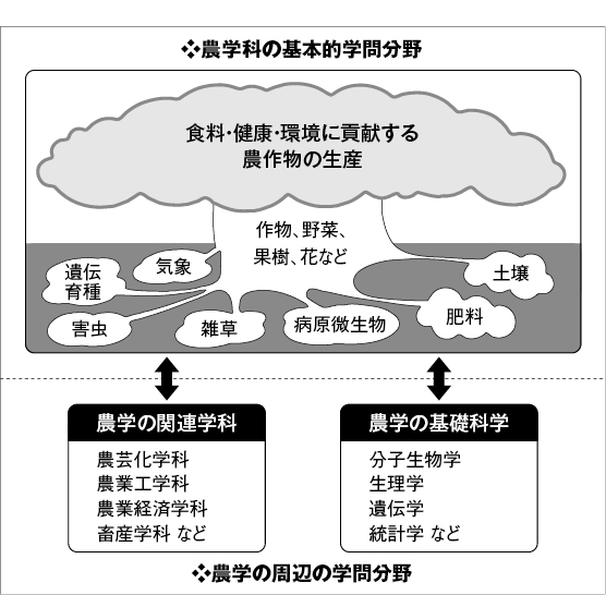 major-additional_image