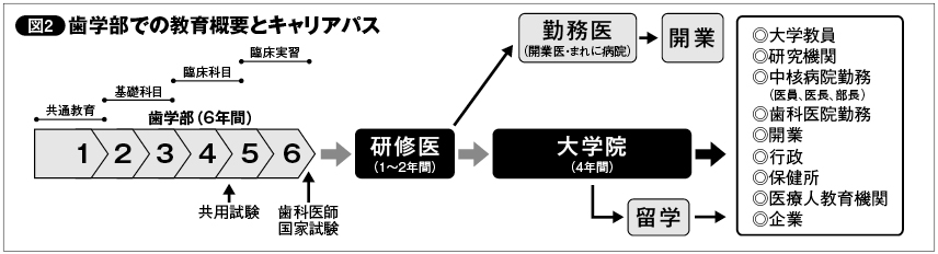 major-additional_image