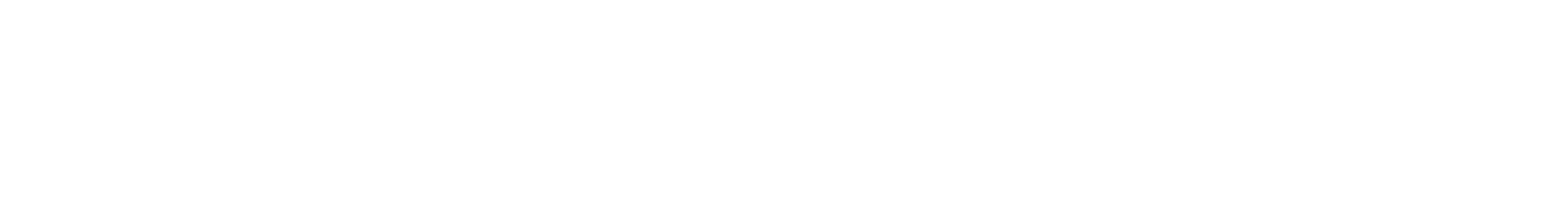 special text