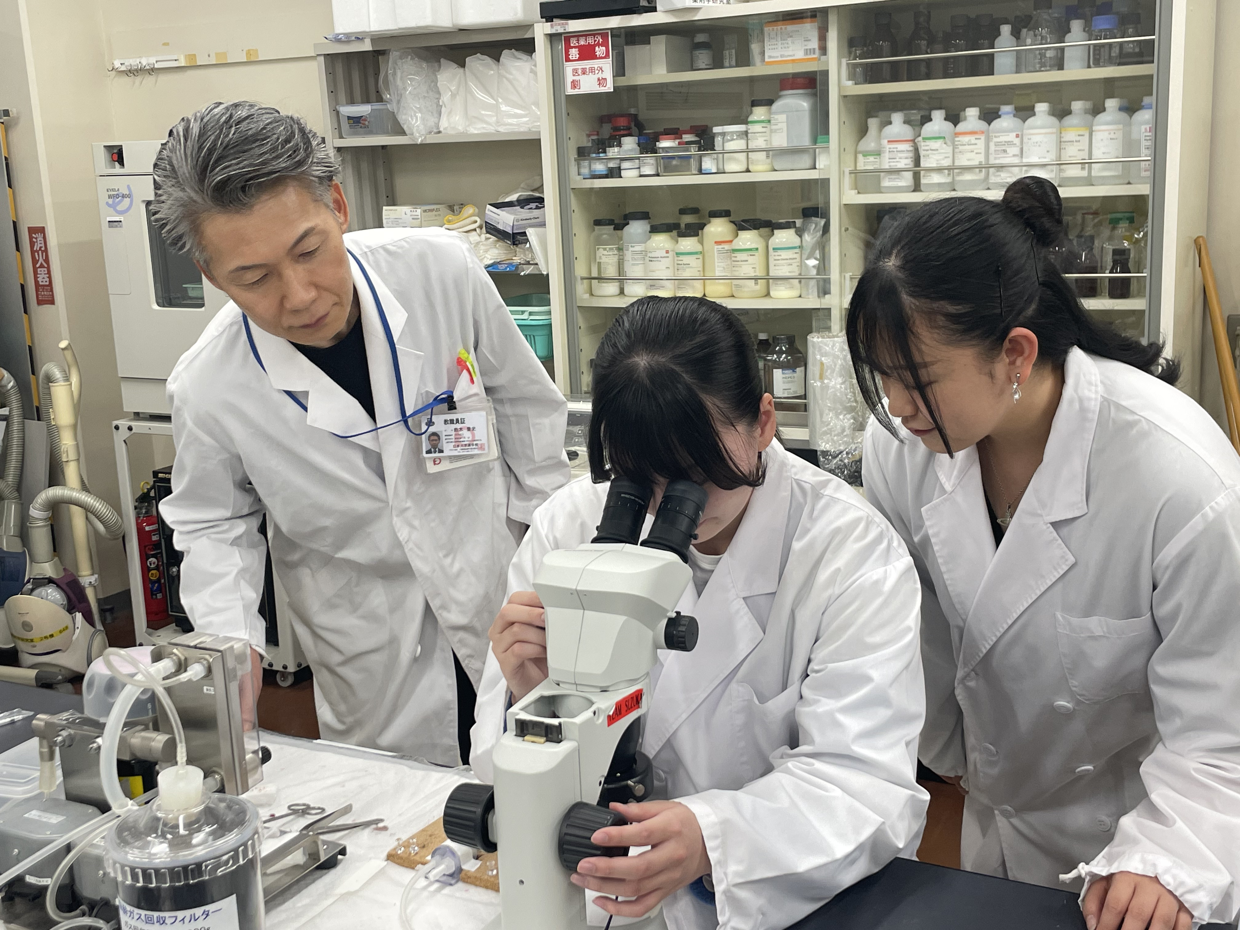 薬・薬剤学研究室雰囲気