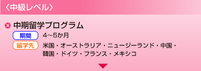 〈中級レベル〉●中期留学プログラム