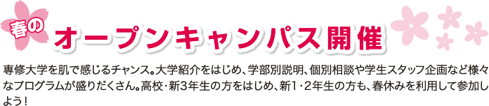 春のオープンキャンパス開催