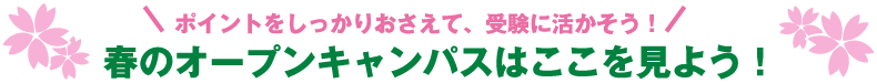 ポイントをしっかりおさえて、受験に生かそう！　春のオープンキャンパスはここを見よう！