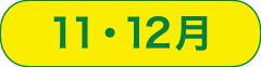 11・12月