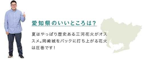 【愛知県のいいところは？】夏はやっぱり歴史ある三河花火がオススメ。岡崎城をバックに打ち上がる花火は圧巻です！ 