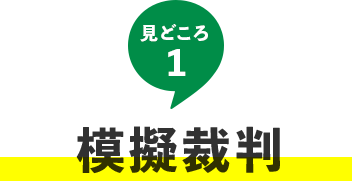 見どころ1 模擬裁判