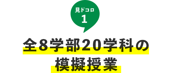 見どころ1：全8学部20学科の模擬授業