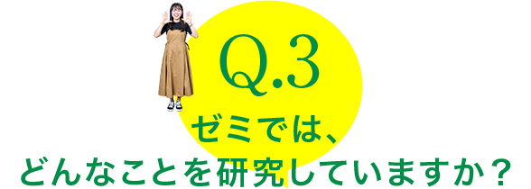 Q.3：ゼミでは、
どんなことを研究していますか？