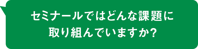 セミナールではどんな課題に取り組んでいますか？