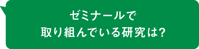 ゼミナールで取り組んでいる研究は？