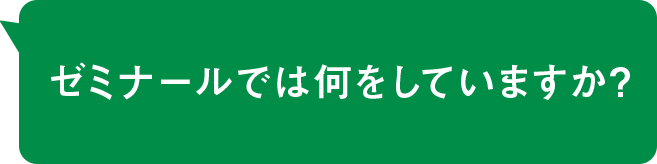 ゼミナールでは何をしていますか？