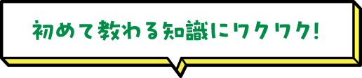 初めて教わる知識にワクワク！