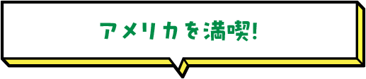 アメリカを満喫！ 