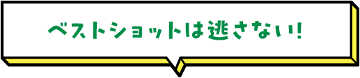 ベストショットは逃さない！