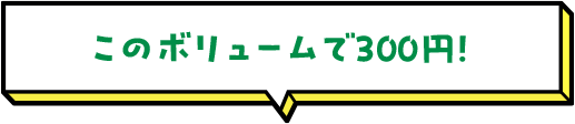このボリュームで300円！ 