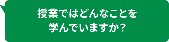 授業ではどんなことを学んでいますか？